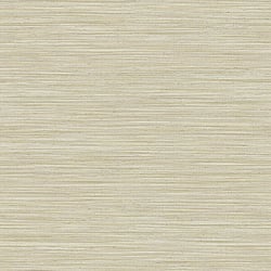 Galerie Wallcoverings Product Code 35971 - Ornamenta Wallpaper Collection - Beige Colours - Horizontal Texture Design