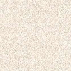 Galerie Wallcoverings Product Code 99139 - Earth Wallpaper Collection - Beige Colours - Feathers Design