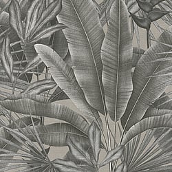 Galerie Wallcoverings Product Code WH30115 - Welcome Home Wallpaper Collection - Silver Grey Colours - Tropical Leaves Design