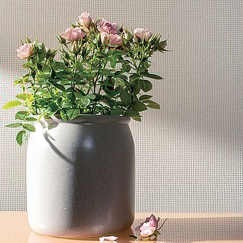 Galerie Wallcoverings Product Code 30841 - Montego Wallpaper Collection - Beige Colours -  