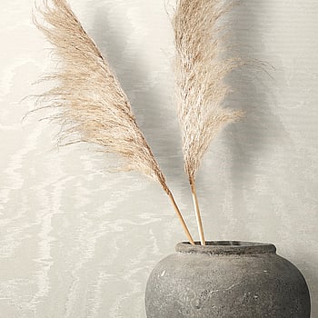 Galerie Wallcoverings Product Code 34921 - Eclectic Wallpaper Collection - White Colours -  