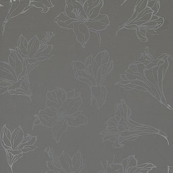 Galerie Wallcoverings Product Code 49879 - Tranquillity Wallpaper Collection -   