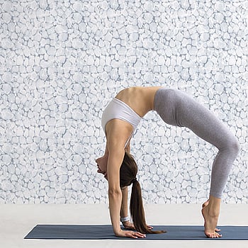 Galerie Wallcoverings Product Code 7318 - Evergreen Wallpaper Collection - Blue Mica Colours -  