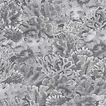 Galerie Wallcoverings Product Code FH37503 - Homestyle Wallpaper Collection - Black Grey Colours -  