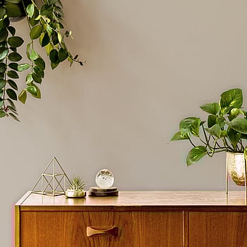 Galerie Wallcoverings Product Code LB25190P - Llewelyn-Bowen - Off The Wall Wallpaper Collection - Kerb Colours -  