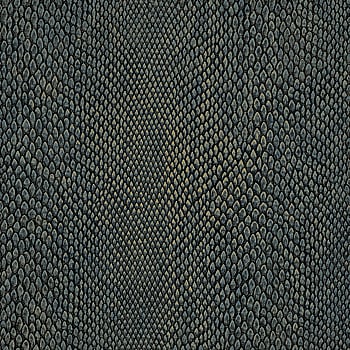 Galerie Wallcoverings Product Code NHW1038 - Enchanted Wallpaper Collection - Blue Gold Colours -  