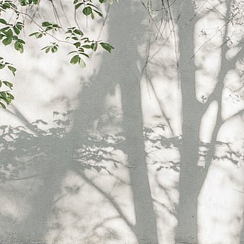 Galerie Wallcoverings Product Code WH45287M - Welcome Home Murals Wallpaper Collection - Grey, Green, White Colours -  